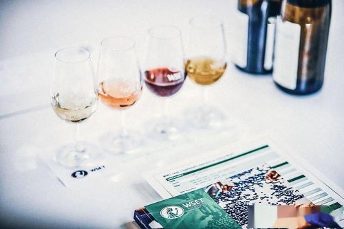 WSET在華暫停課程與考試，酒類培訓機構(gòu)接受調(diào)查引發(fā)行業(yè)關(guān)注